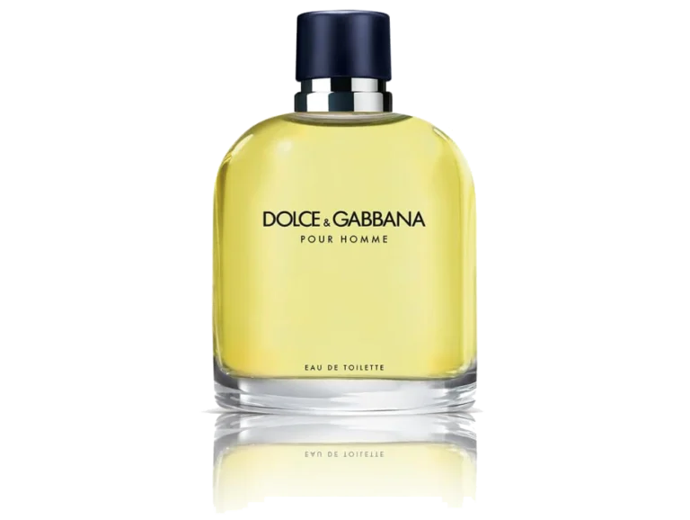 dolce_and_gabbana_pour_homme